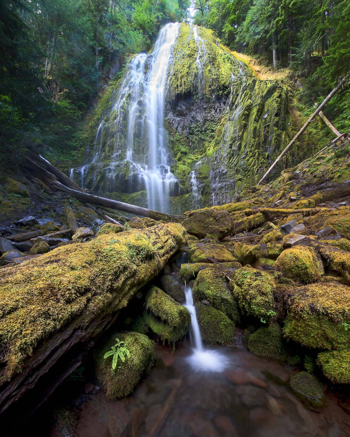 Proxy Falls